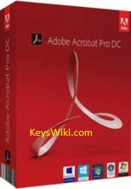 Adobe Acrobat Pro DC 2020.012.20048 Crack