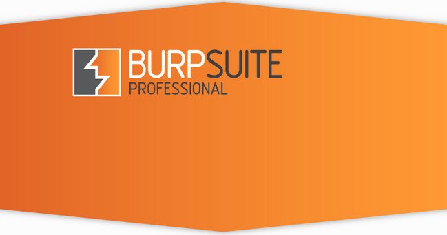 Burp Suite Professional 2022.1 Crack + License key Free Download [Latest]